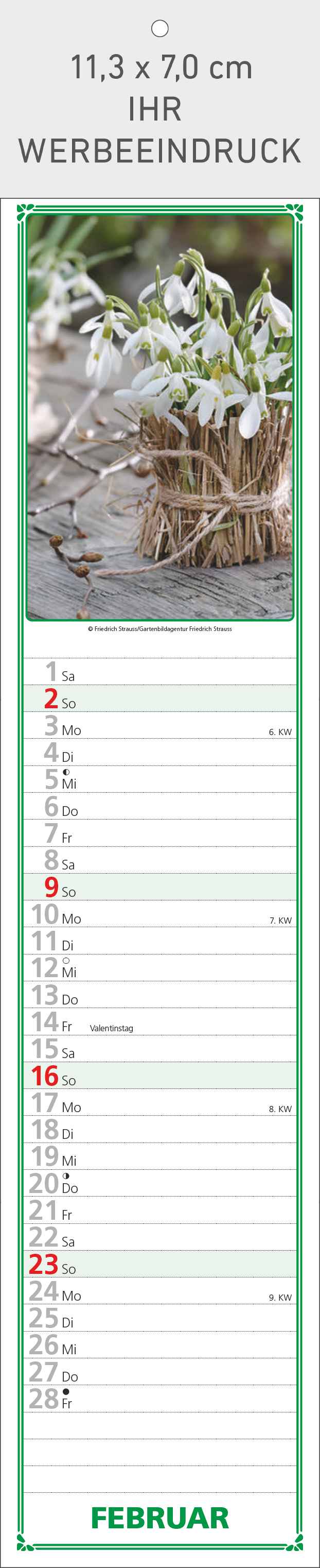 Paules Gartenplaner