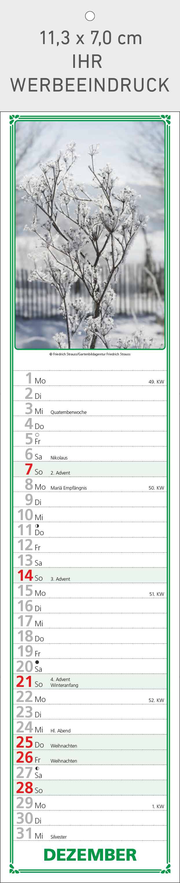 Paules Gartenplaner